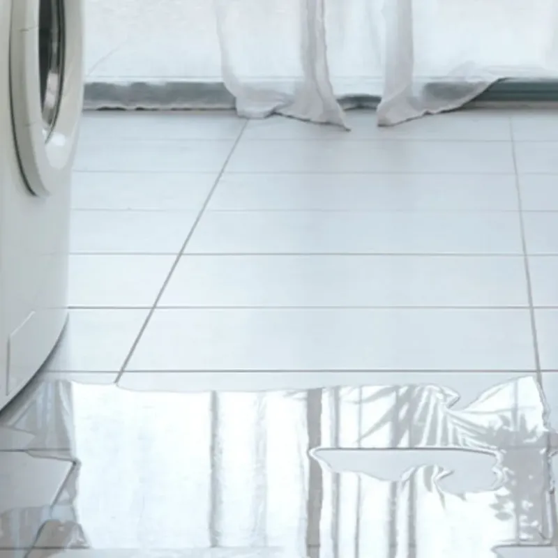 Appliance Leak Cleanup in Nellysford, VA