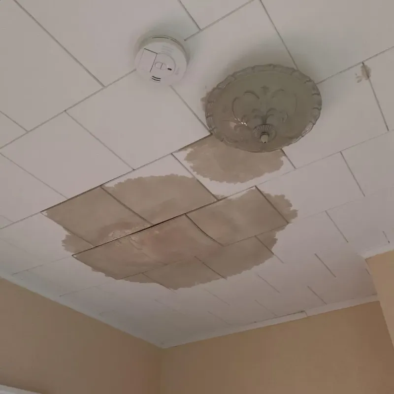 Ceiling Water Damage Repair in Nellysford, VA