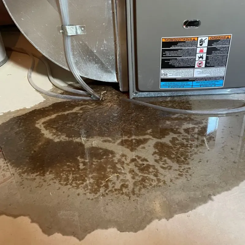 Pipe Burst and Leak Restoration in Nellysford, VA