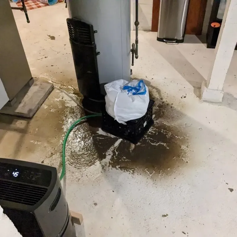 Sewage Backup Cleanup Service in Nellysford, VA